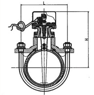 ZSJZ马鞍式水流指示器结构图 ZSJZ马鞍式水流指示器结构图