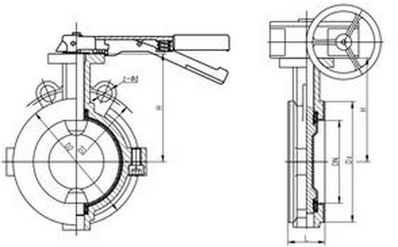 D71F46衬氟手动对夹蝶阀结构图.jpg D71F46衬氟手动对夹蝶阀结构图.jpg