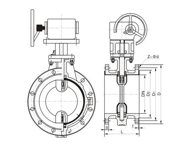 D341F46衬氟涡轮法兰蝶阀结构图.jpg D341F46衬氟涡轮法兰蝶阀结构图.jpg